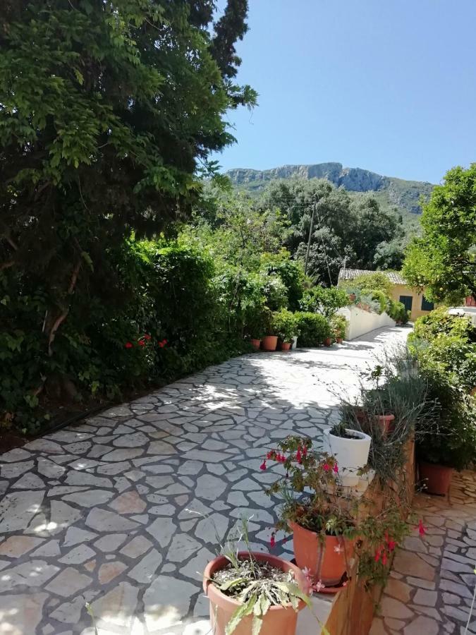 Marilena Studios And Apartments Paleokastritsa Exterior photo